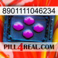 8901111046234 04